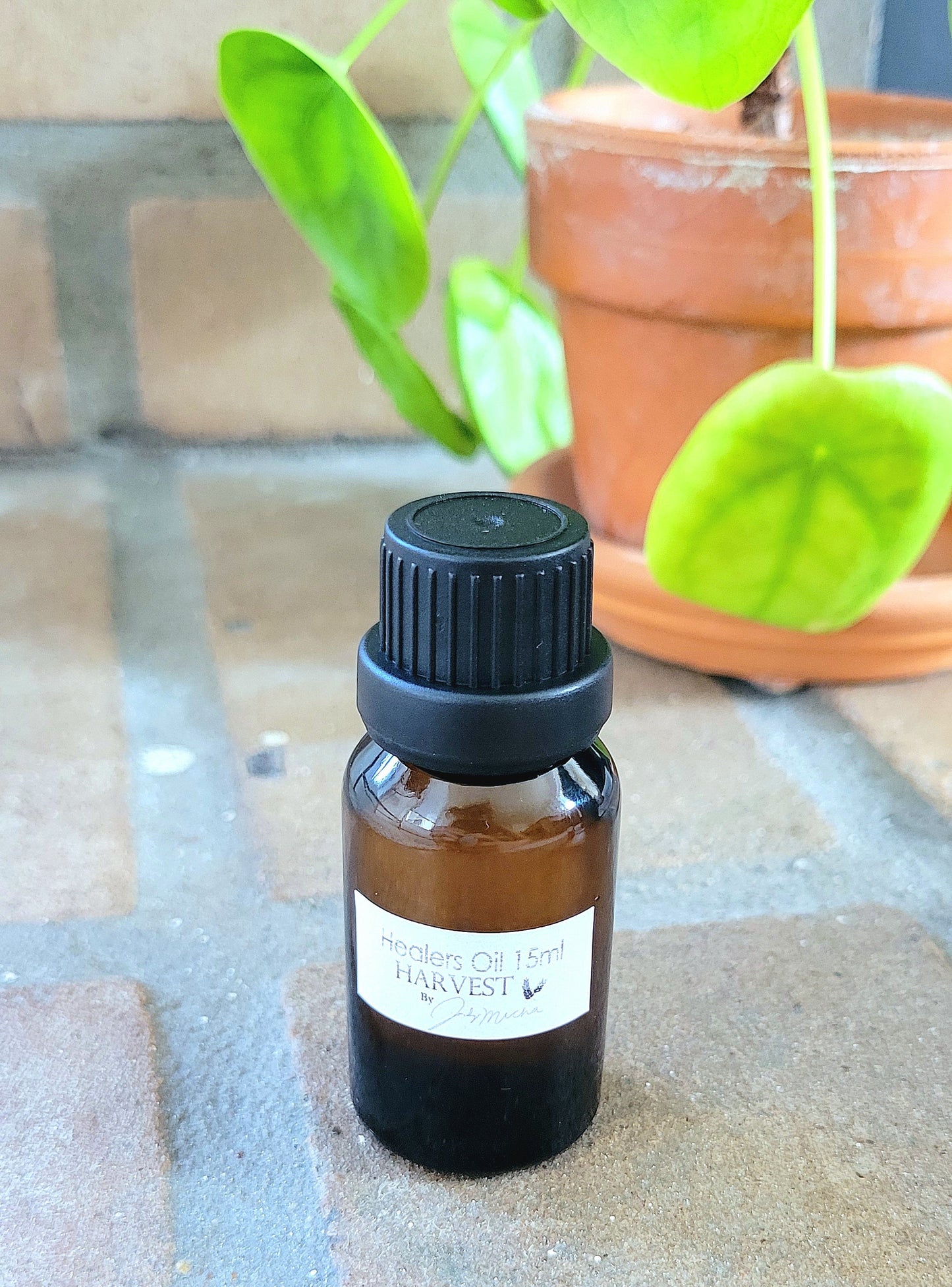 Rose of Sharon Anointing Oil